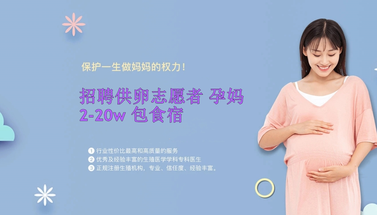 沈阳捐卵机构-沈阳捐卵公司联系方式-沈阳有偿捐卵中心